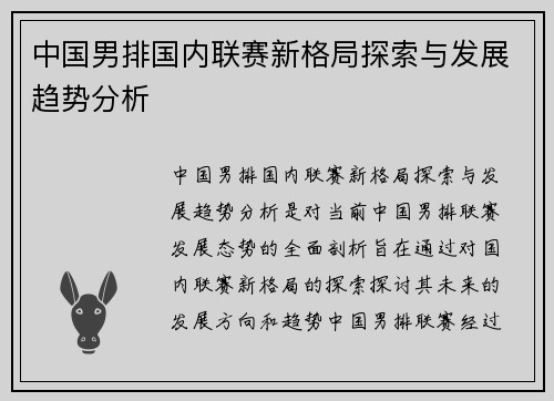 中国男排国内联赛新格局探索与发展趋势分析